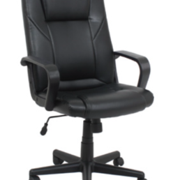 Dana High-Back Task Chair Black Embossed Loop Arms