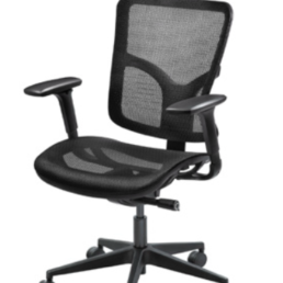 Danube Task Chair Adjustable Arms & Removable Headrest