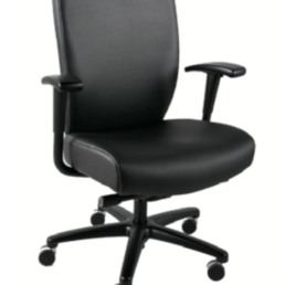 Eclipse (Total Eclipse 24/7) High-Back Task Chair $717 (w/Adjustable Height Arms)