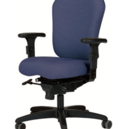 Ithaca Task Chair Adjustable Arms