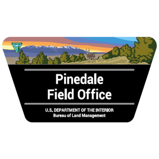 BLM Identification (BLM-ID)