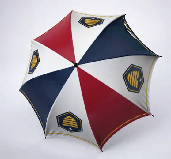 Umbrella with new Utah state flag printed on it